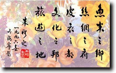 Welcome to Haining city